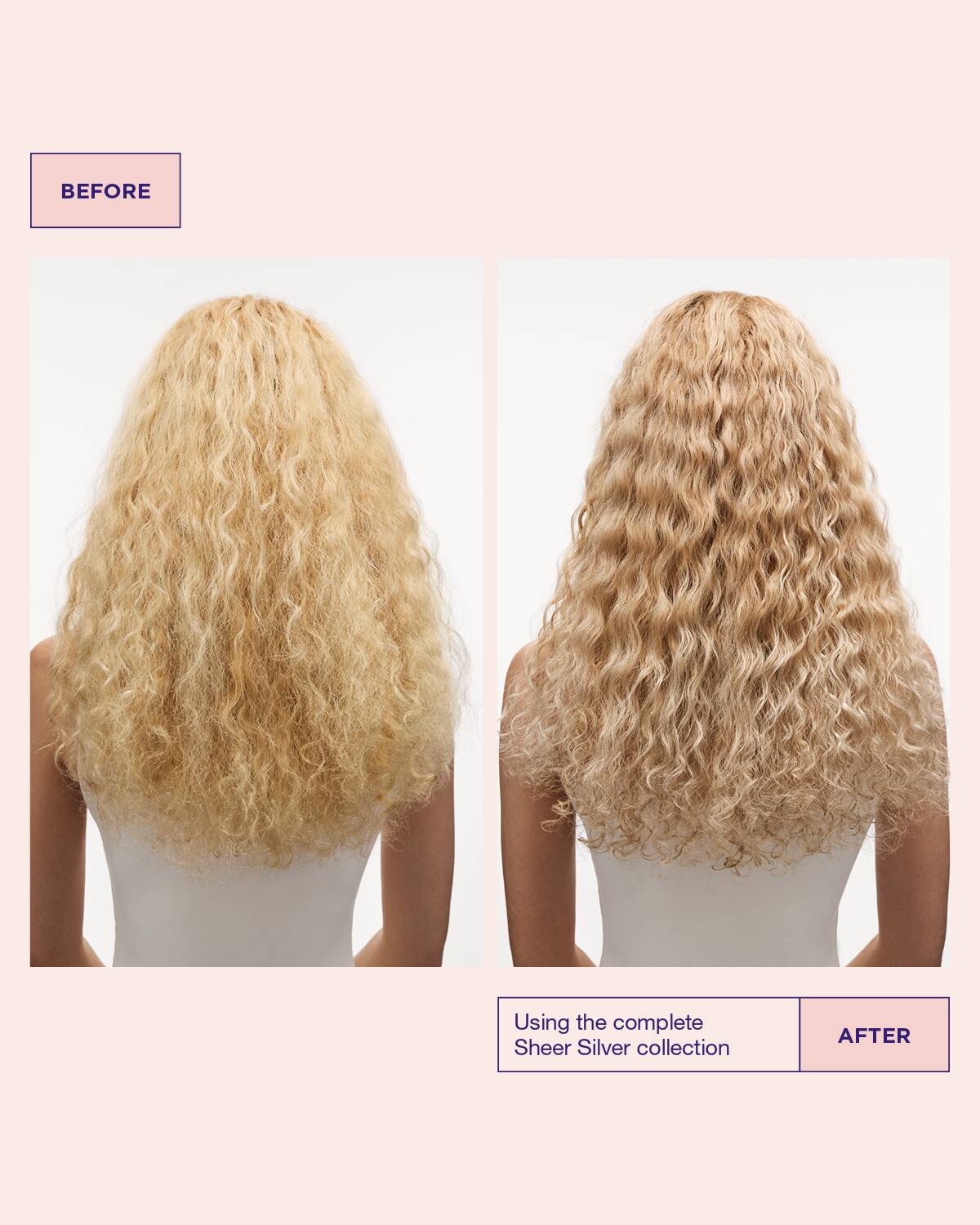 Sheer Silver Conditioner Liter - Image 4